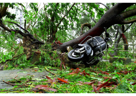 倒れた樹木とバイク.png